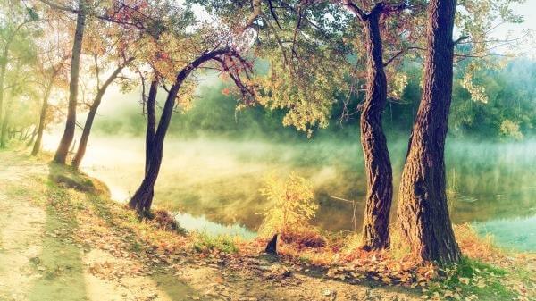nature